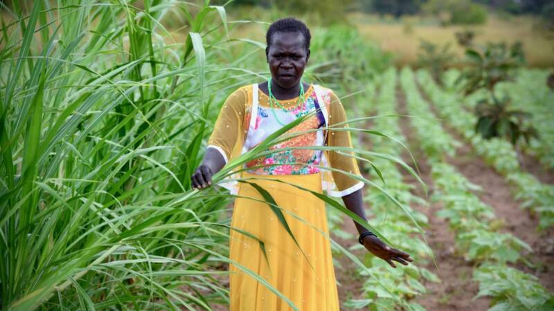 Promoting Climate Smart Agriculture as Well as the Capacities of ...