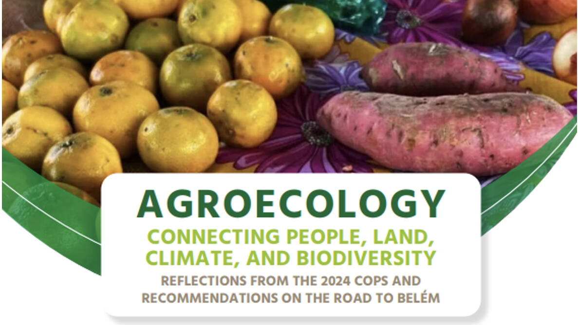 Agroecology policy brief