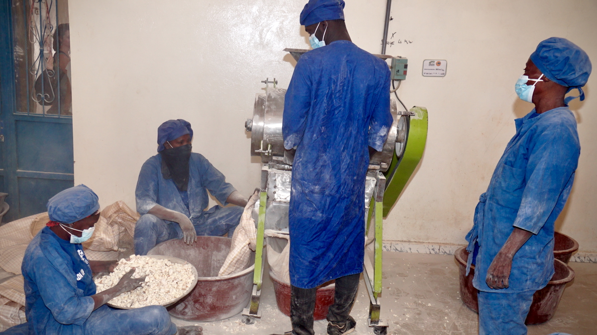 Baobab processing